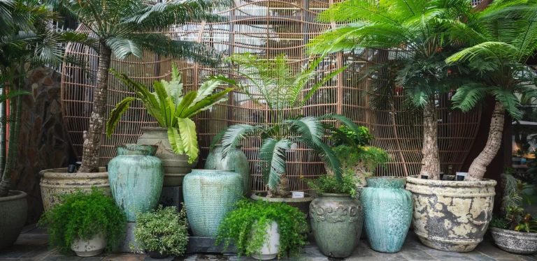 điểm nổi bật của Gốm Đất Nung